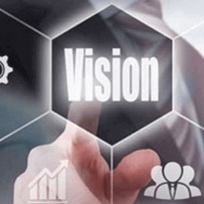 Sowtex Vision